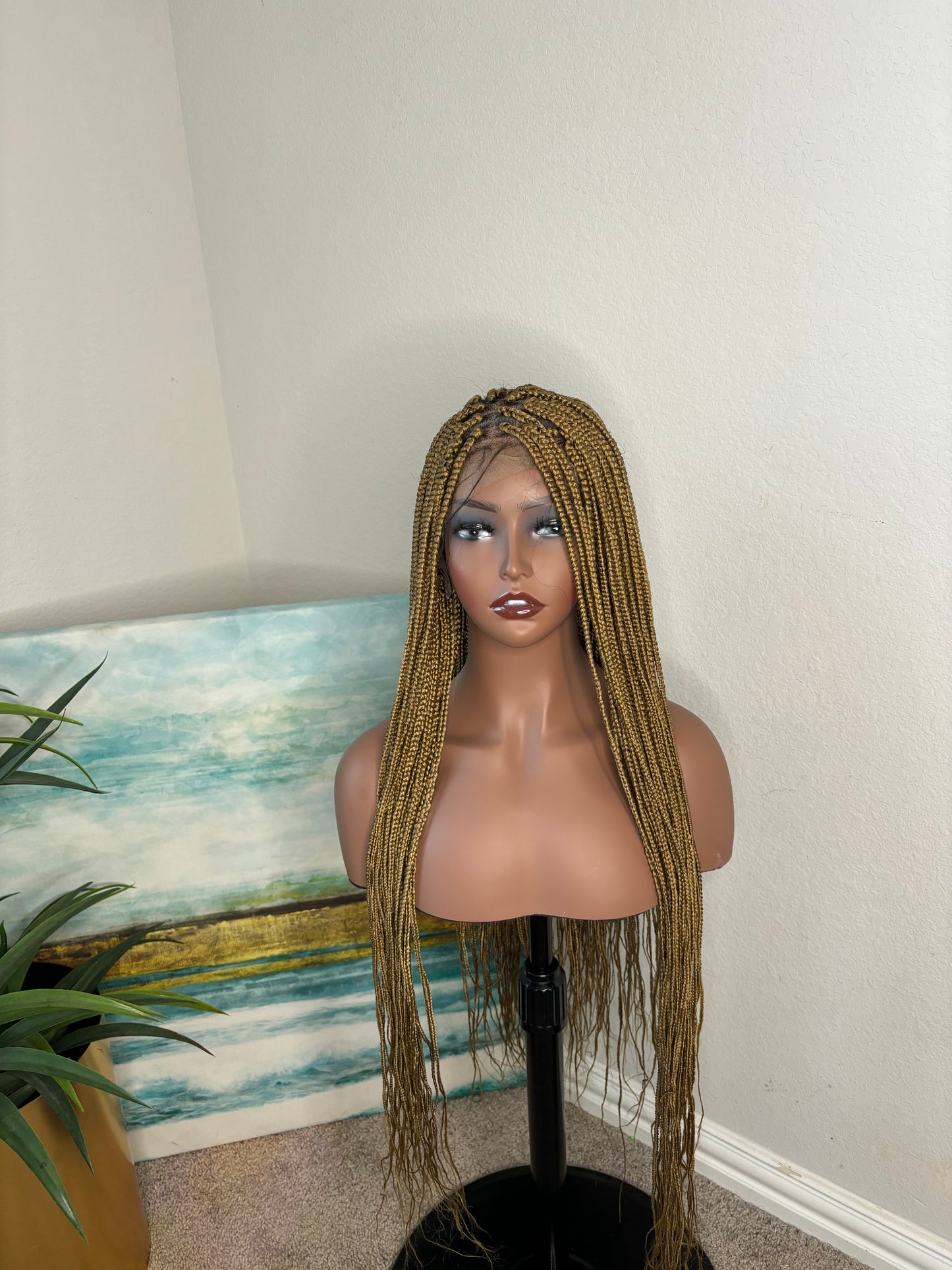 cs-Malika lace front small braids wig