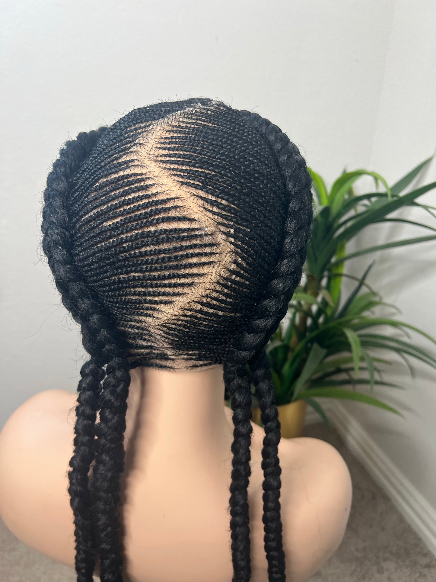 full lace 2 braids with micro braids to the back