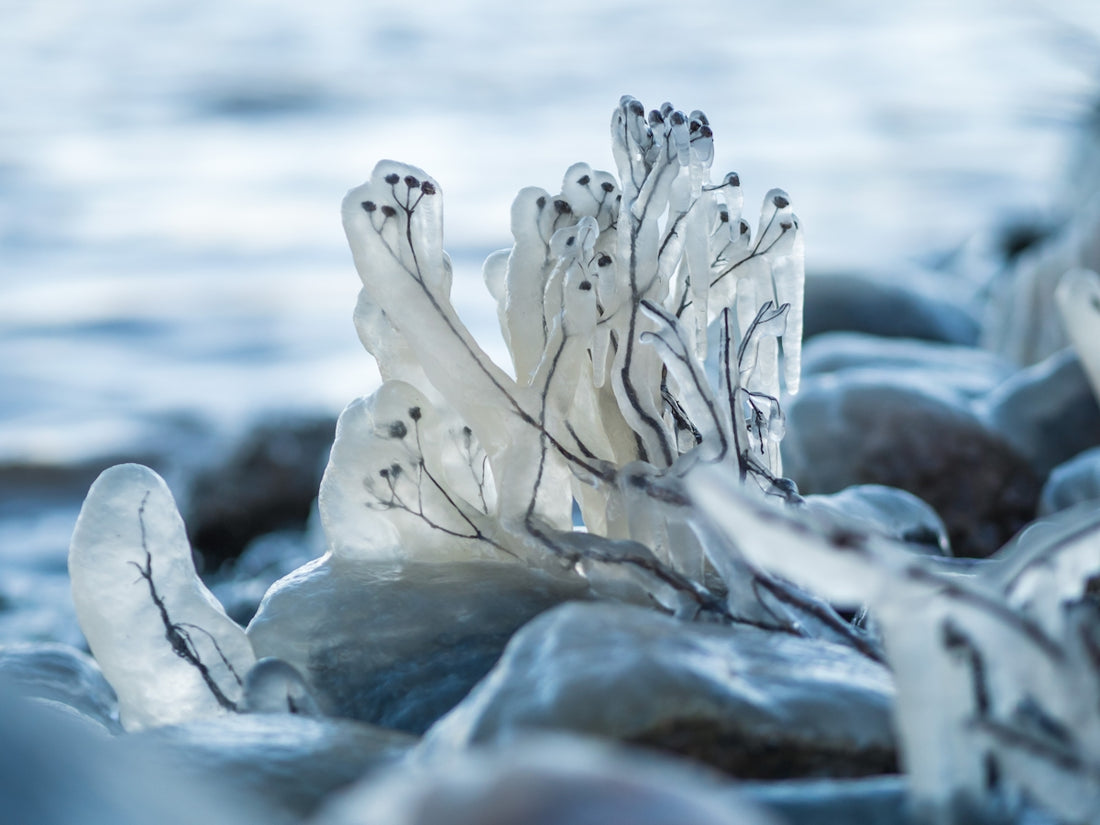white ice on gray rock