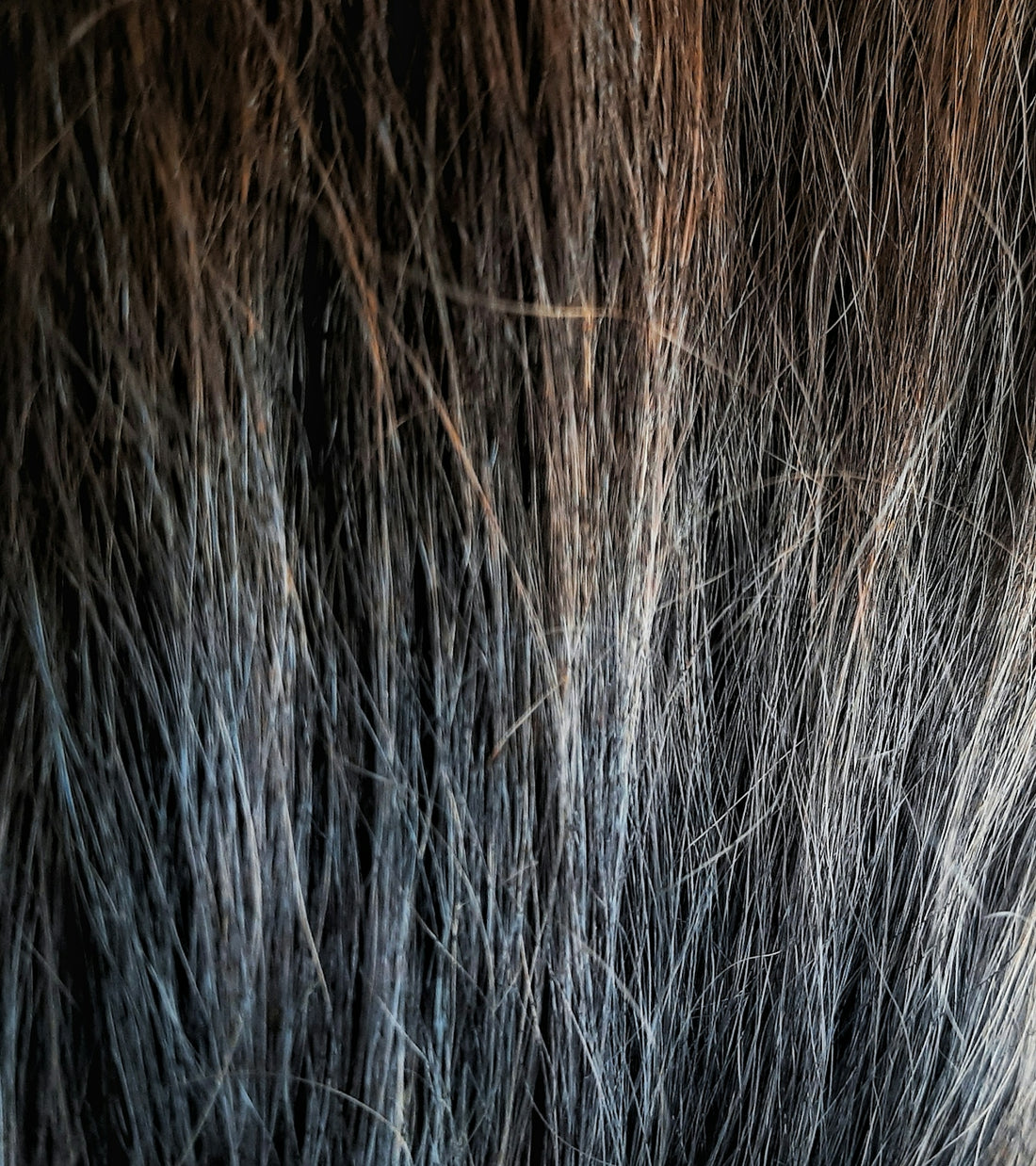 a close up of a woman's hair