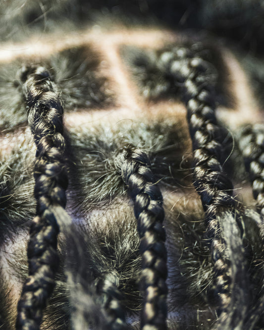 Close-up of braided dark hair with scalp visible