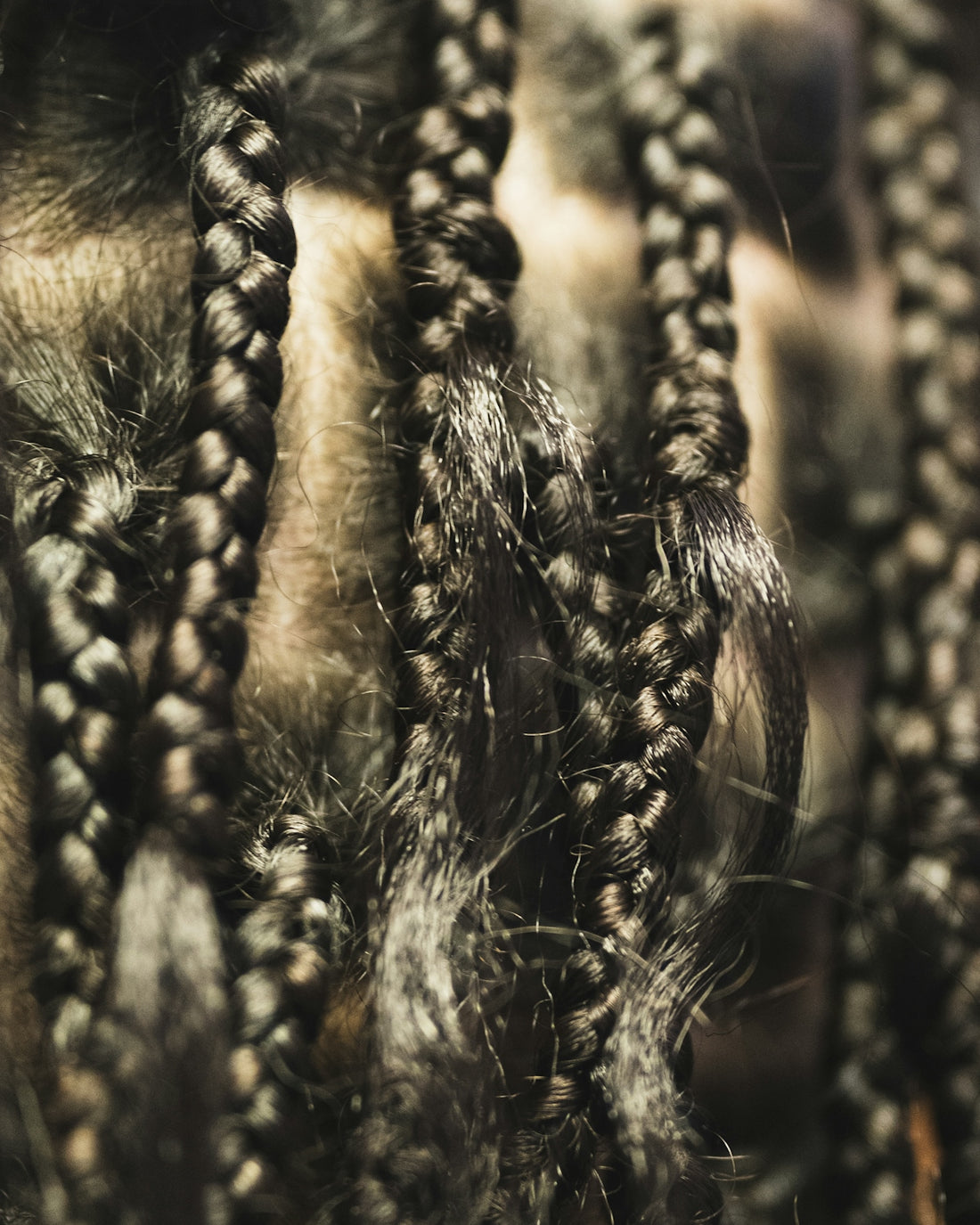 Close-up of dark braided hair strands